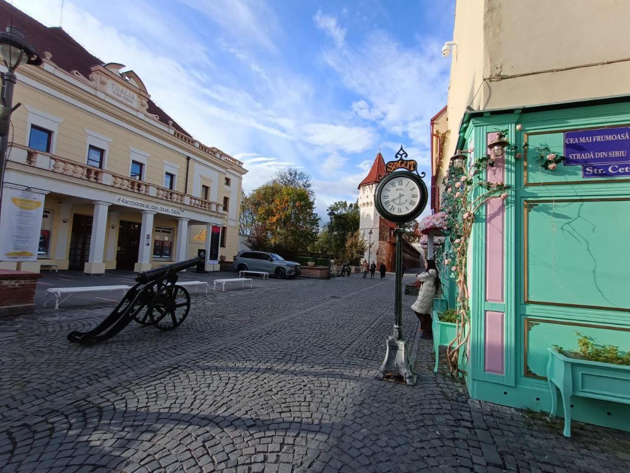 Old Town Cozy Nest Apartamento Sibiu Exterior foto
