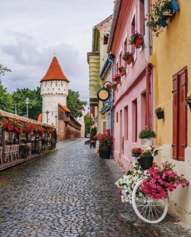 Old Town Cozy Nest Apartamento Sibiu Exterior foto